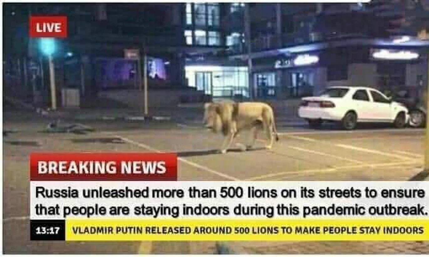 Lions.jpg