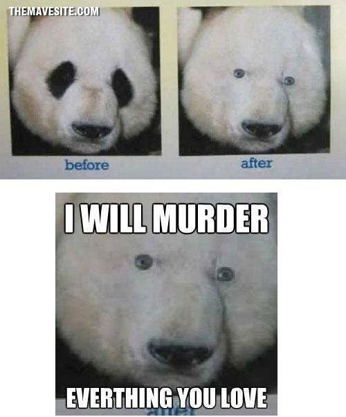 PsychoKillerPolarBear.jpg