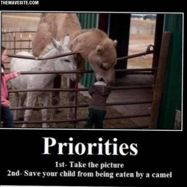 Priorities.png