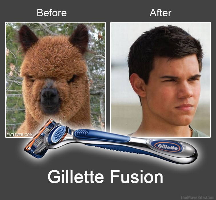 GilletteFusion.jpg
