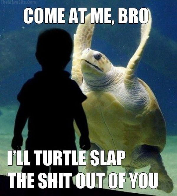 ComeAtMeBro.jpg