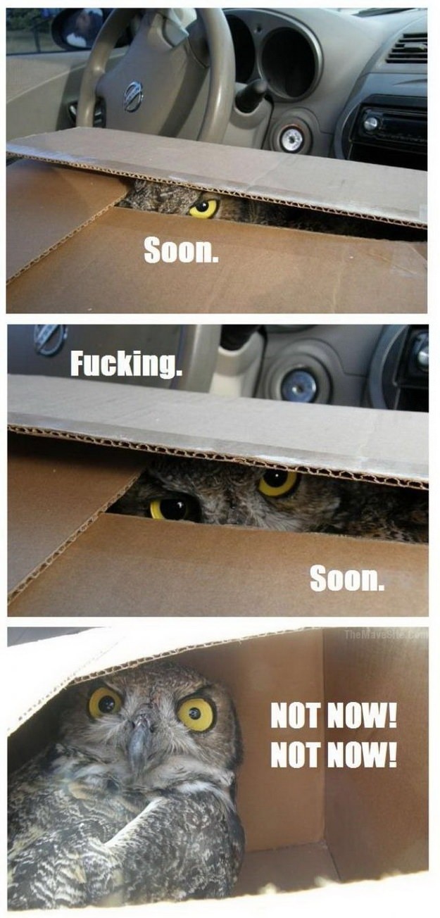 Soon.jpg