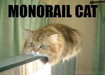 MonorailCat.jpg