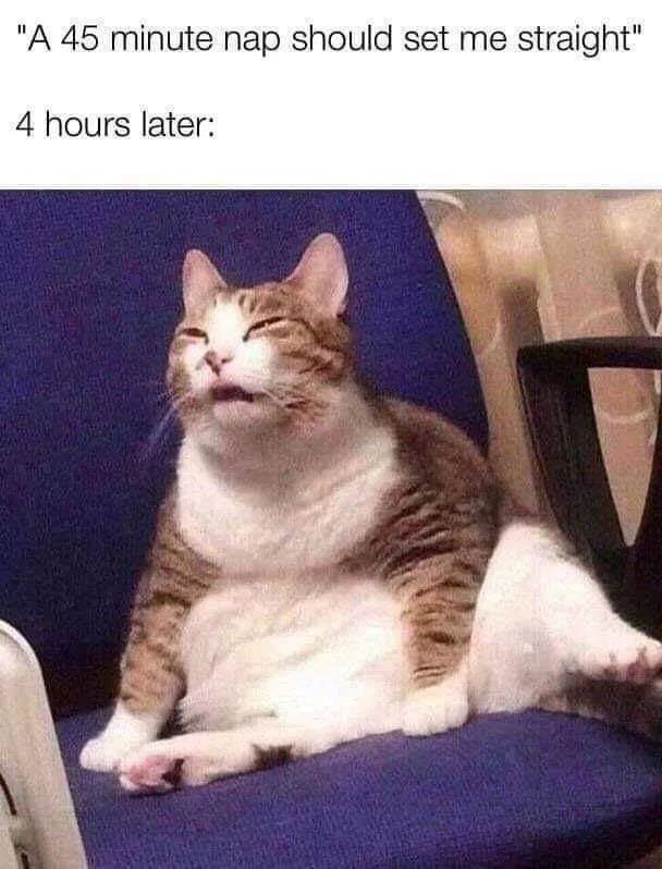 ghcMeEs.jpeg