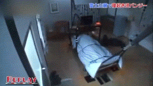 dbMtrE5.gif