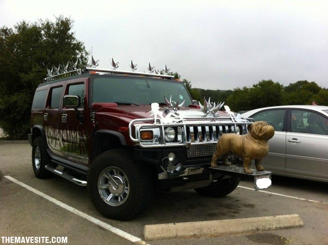 DouchebagLevel-BronzeBulldog.jpg