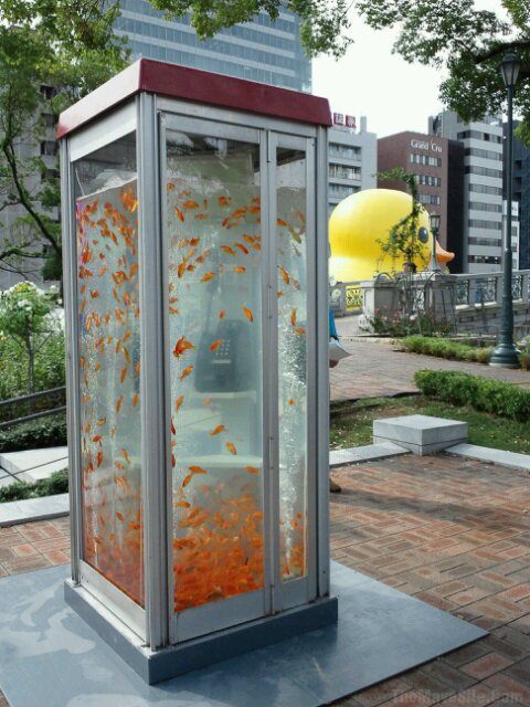 FishtankPhoneBoxJapan.jpg