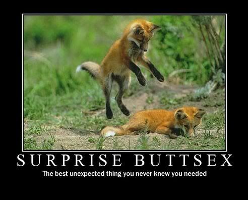surprise.jpg