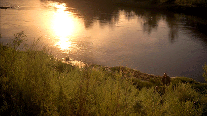 4ei4dsq.gif
