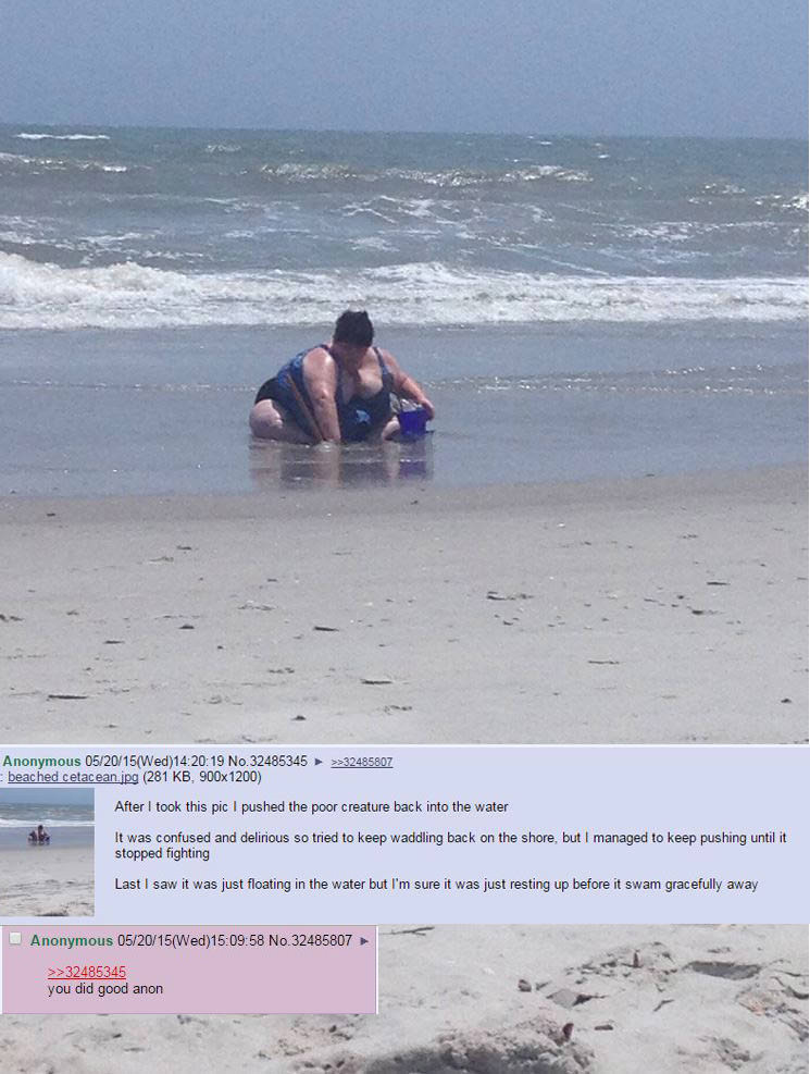 VGYKmib.jpg