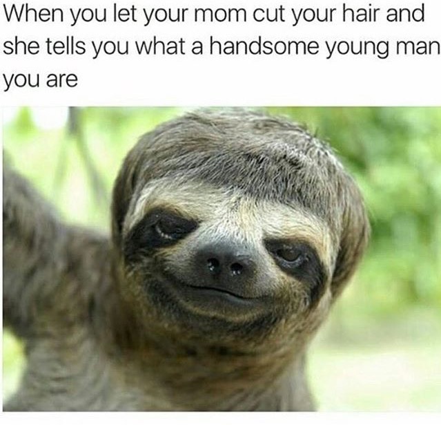 Wy2Ta2n.jpg
