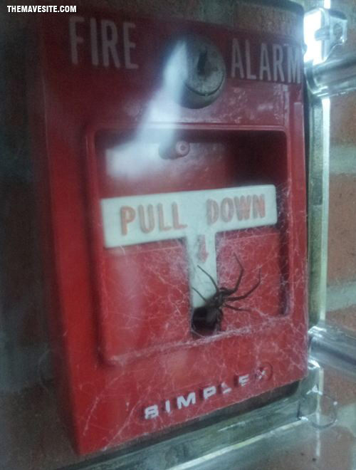 InCaseOfFire...Die.jpg
