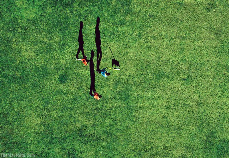 ShadowWalk.jpg