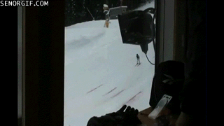qJTWjPV.gif