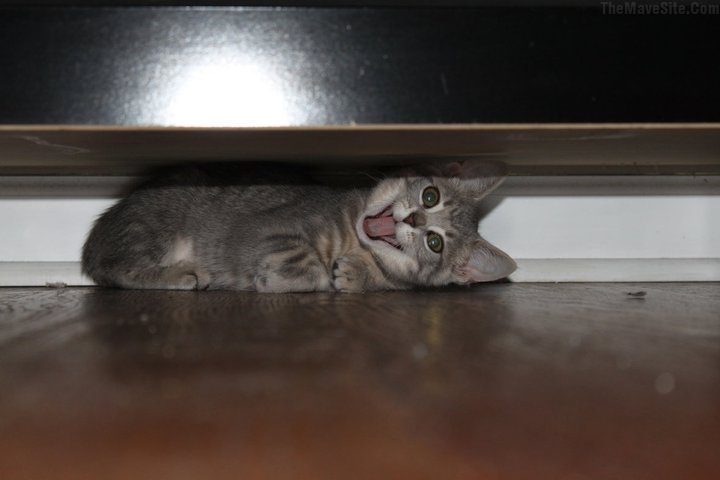 AhhhhYouFoundMe!!!.jpg