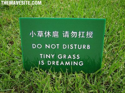 DoNotDisturb.jpg