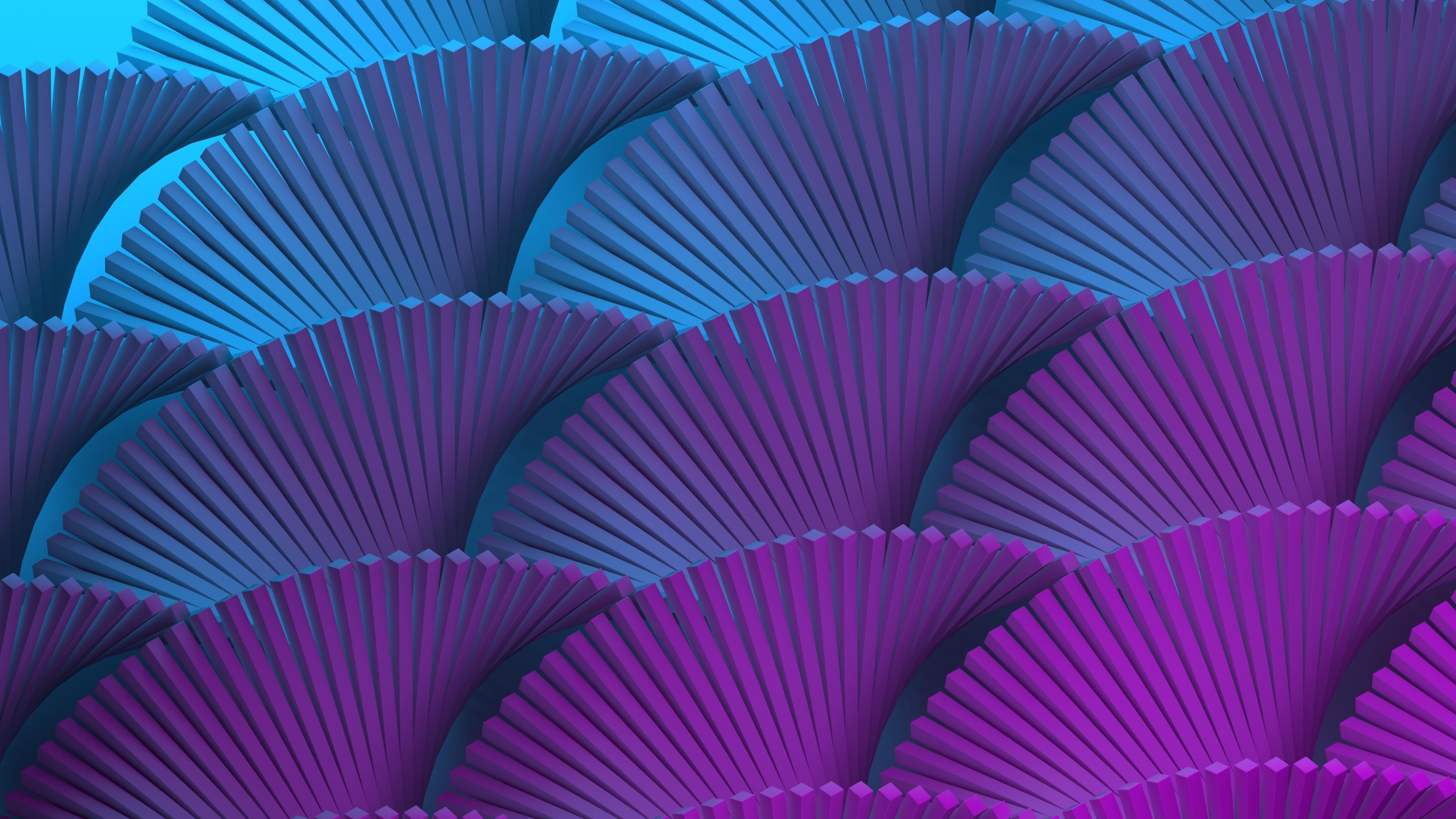 z6p27EH.jpeg