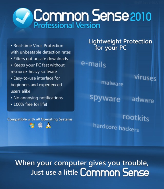 CommonSense2010.jpg
