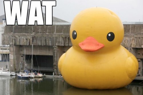 SefB1.jpg