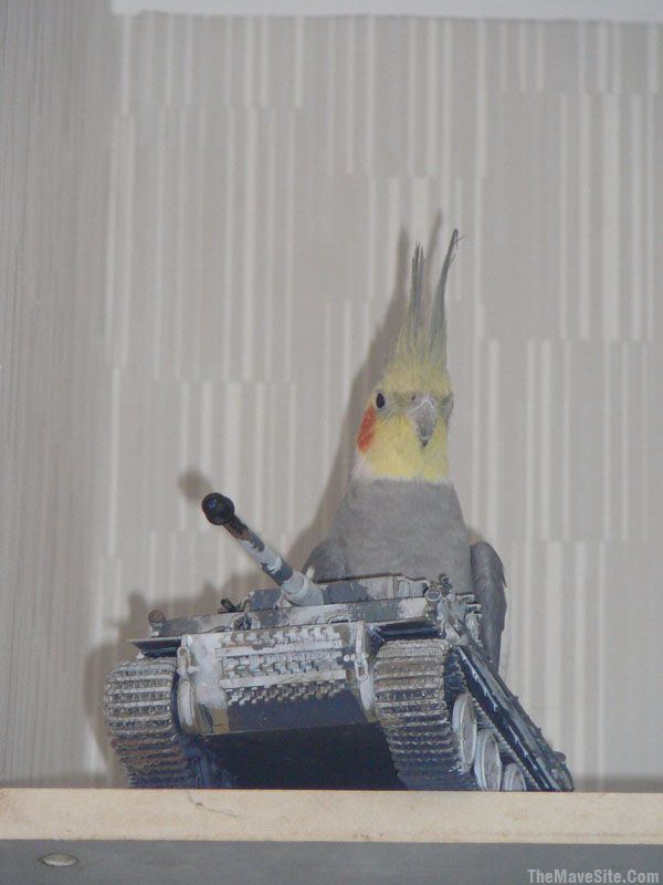 PrepareToDie.jpg