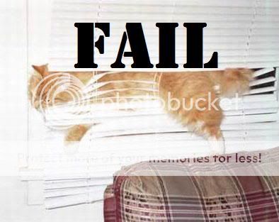 fail_cat.jpg
