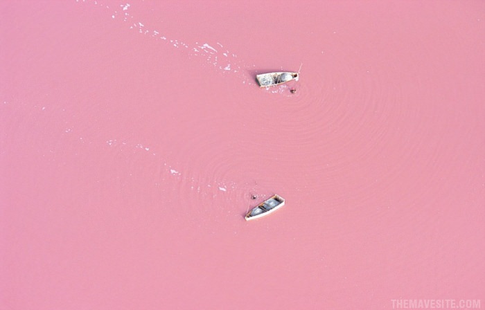 BacteriaTurnsLakeInSenegalPink.jpg