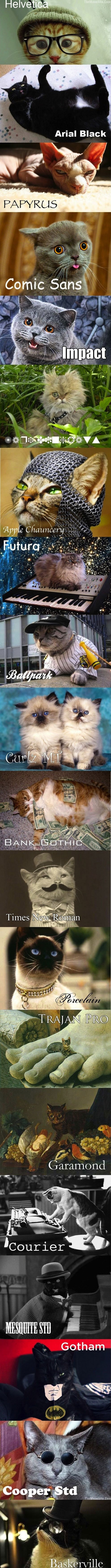CatFonts.jpg