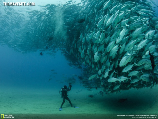 UnderwaterInMexico.jpg