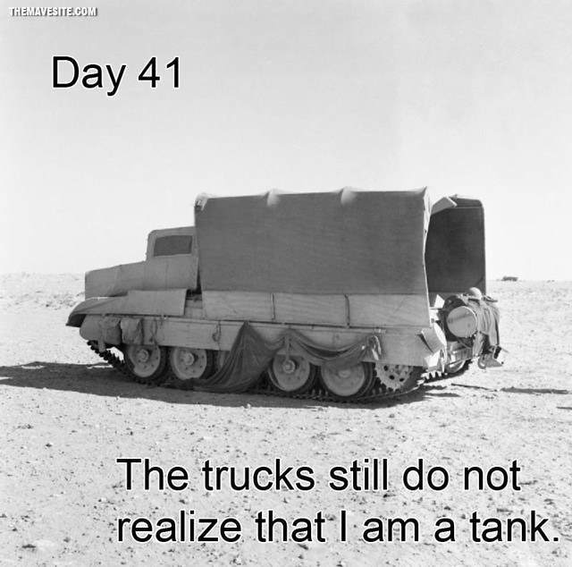Day41.jpg