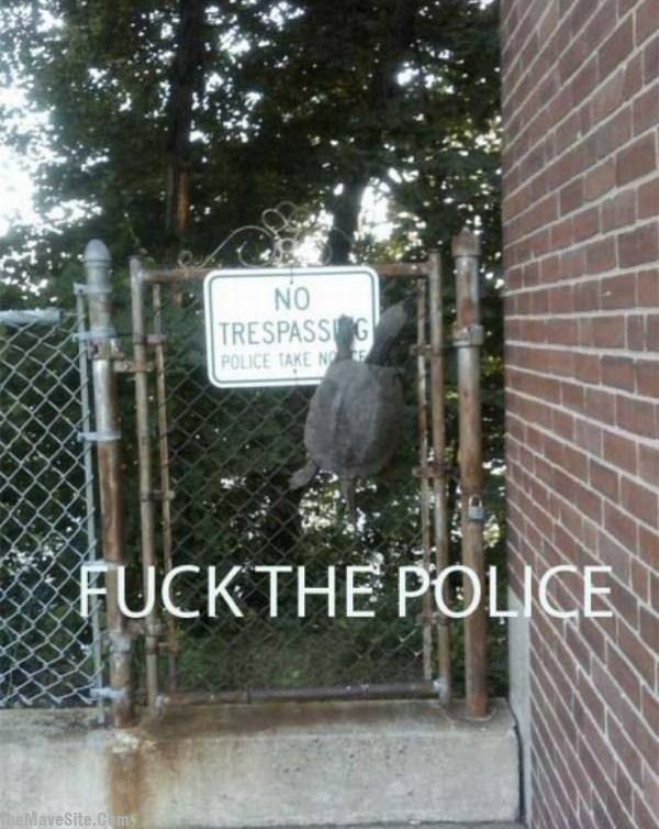 FuckThePolice.jpg