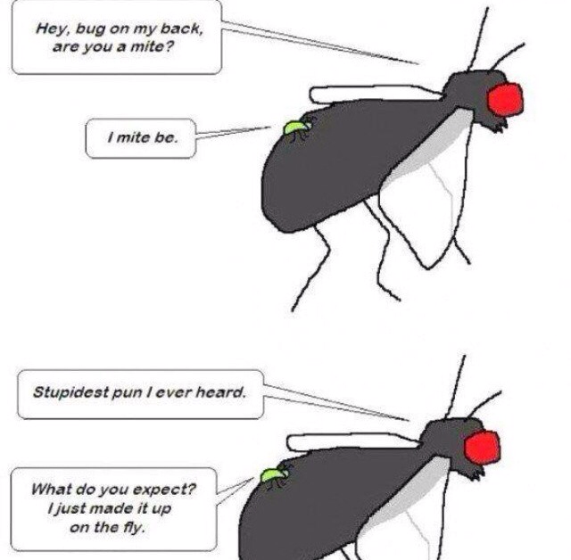 GrfY7WD.png