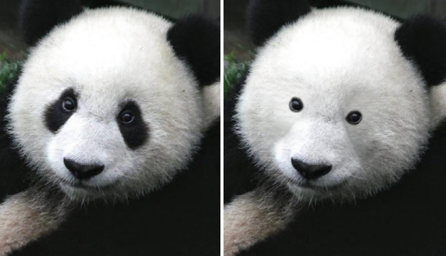 PO6zyrX.png