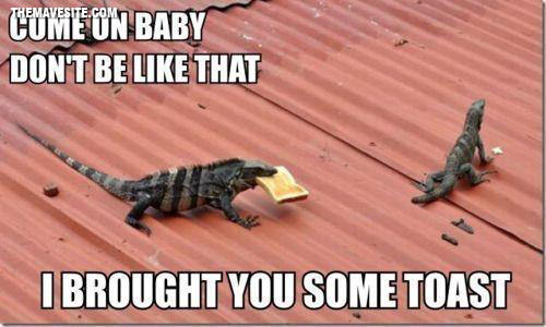 ComeOnBaby.jpg