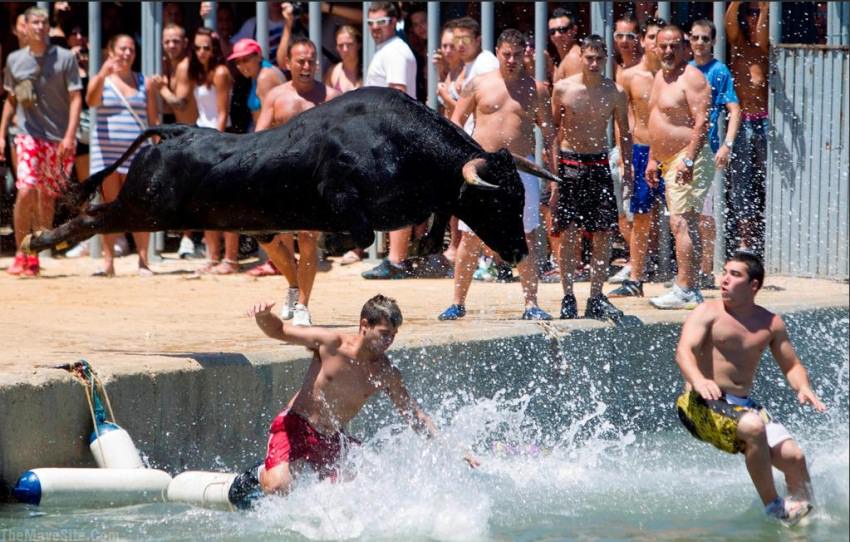SwimmingPoolFun.jpg
