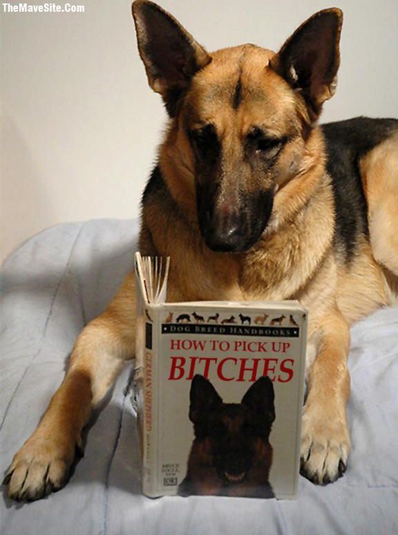 DogManual.jpg