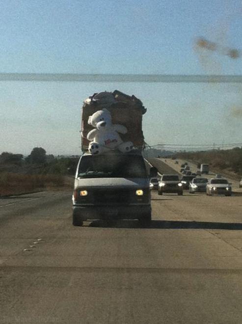 OnlyBringTheEssentials.jpg