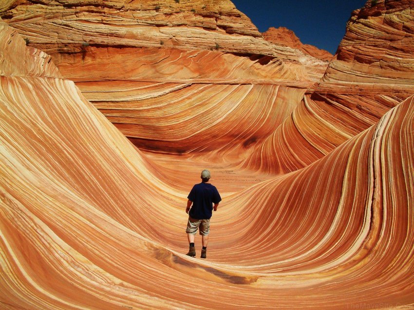 TheWave,Arizona.jpg