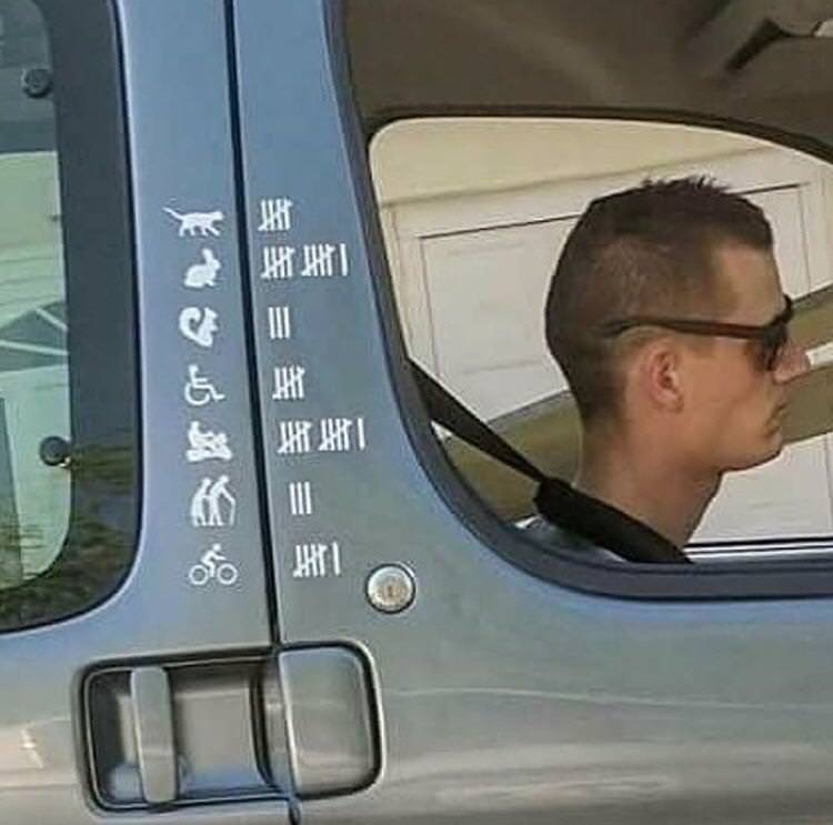 L6cYbS1.jpg