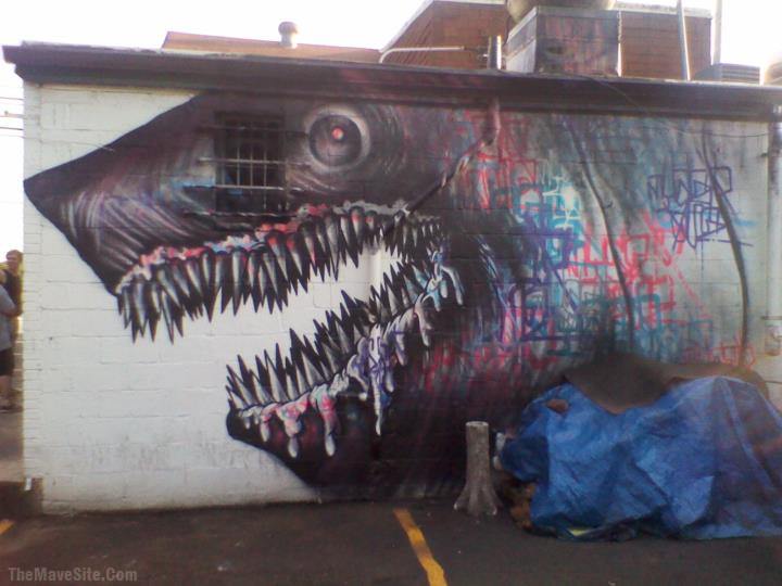 GraffitiShark.jpg