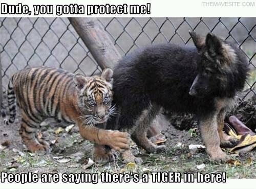 DudeYouGottaProtectMe.jpg