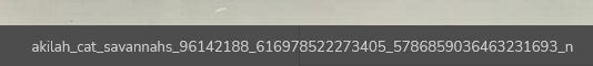 vgdEdA8.png
