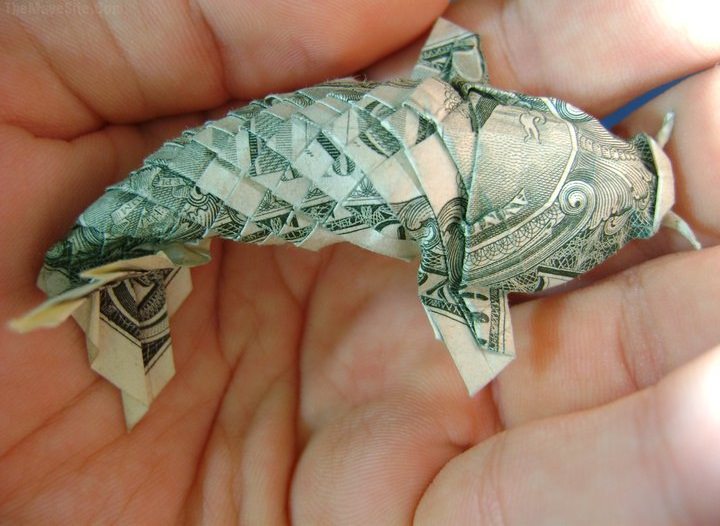 Fishy.jpg