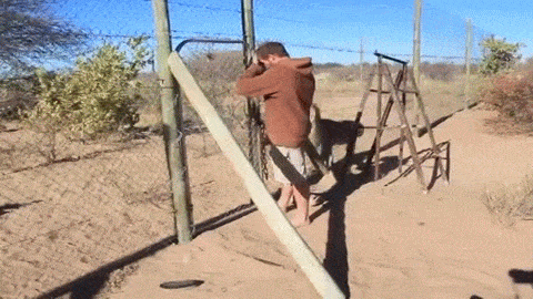 Dh6m5zH.gif