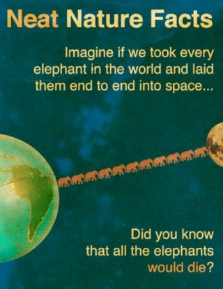Vg3xlgb.png
