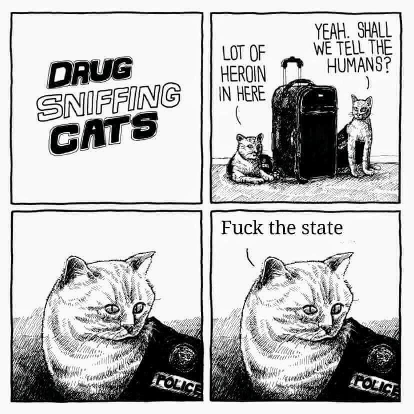 Osc5zmB.jpeg