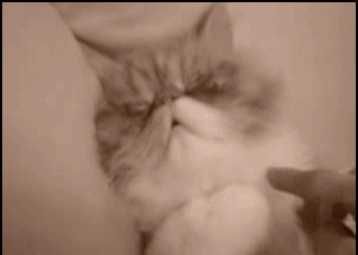 1 (6).gif