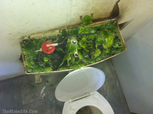 AsSeenInTheTopOfAPublicToilet.jpg