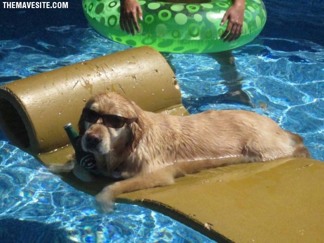 LivingTheLife.jpg