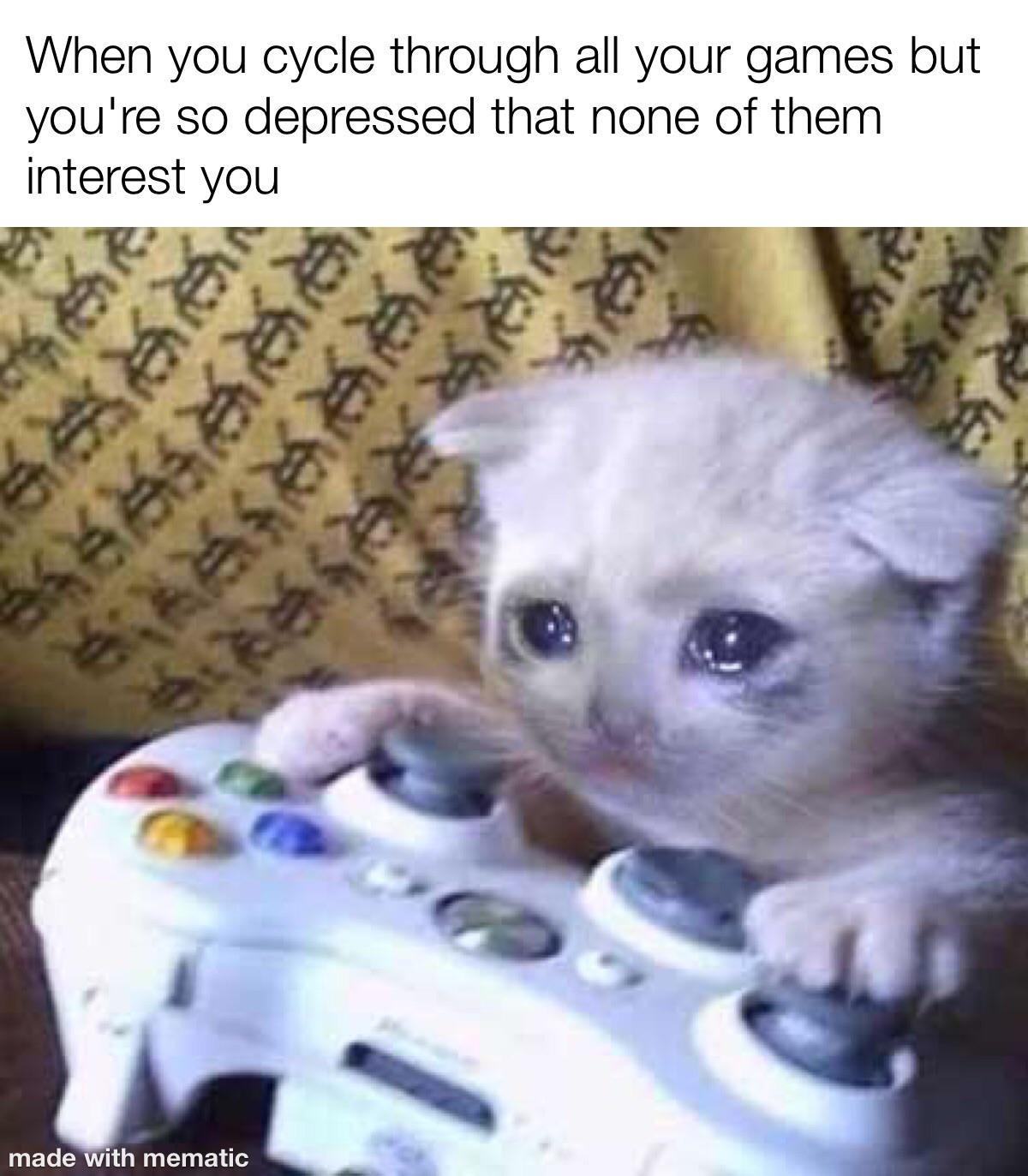dkrZFIT.jpeg