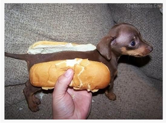 SpecialHotDog.jpg